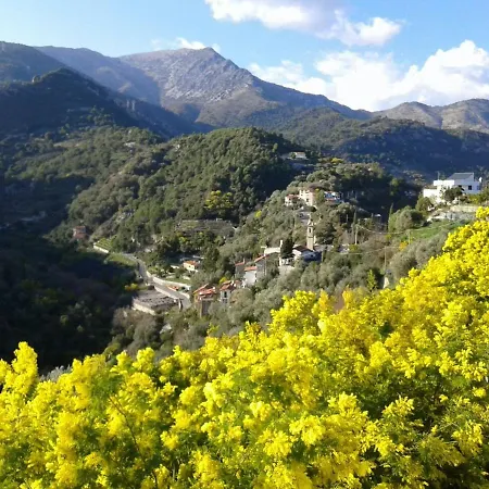 Il Casotto Del Nonno * Ventimiglia