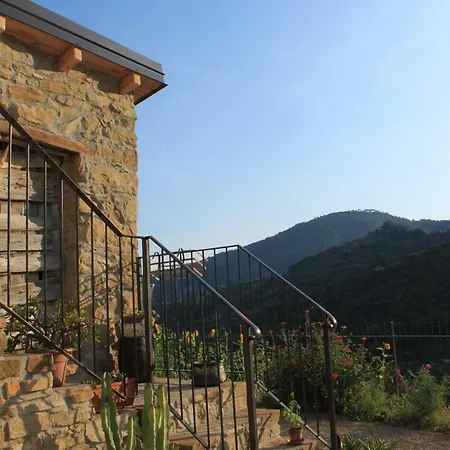 Il Casotto Del Nonno Lejlighed Ventimiglia